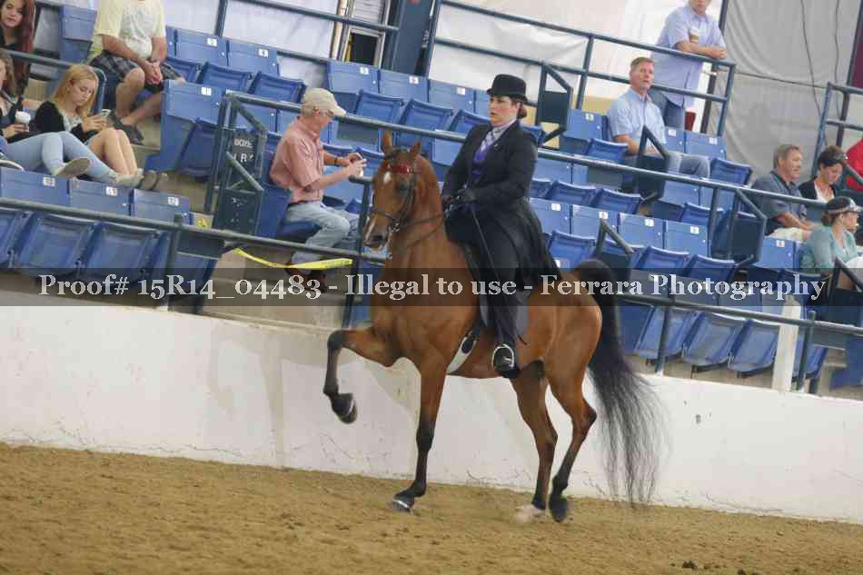 Proof 15R14_04483
