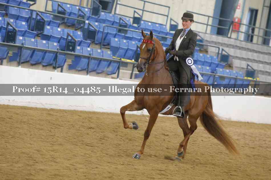 Proof 15R14_04485