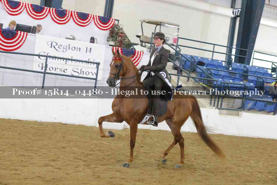 Proof 15R14_04486
