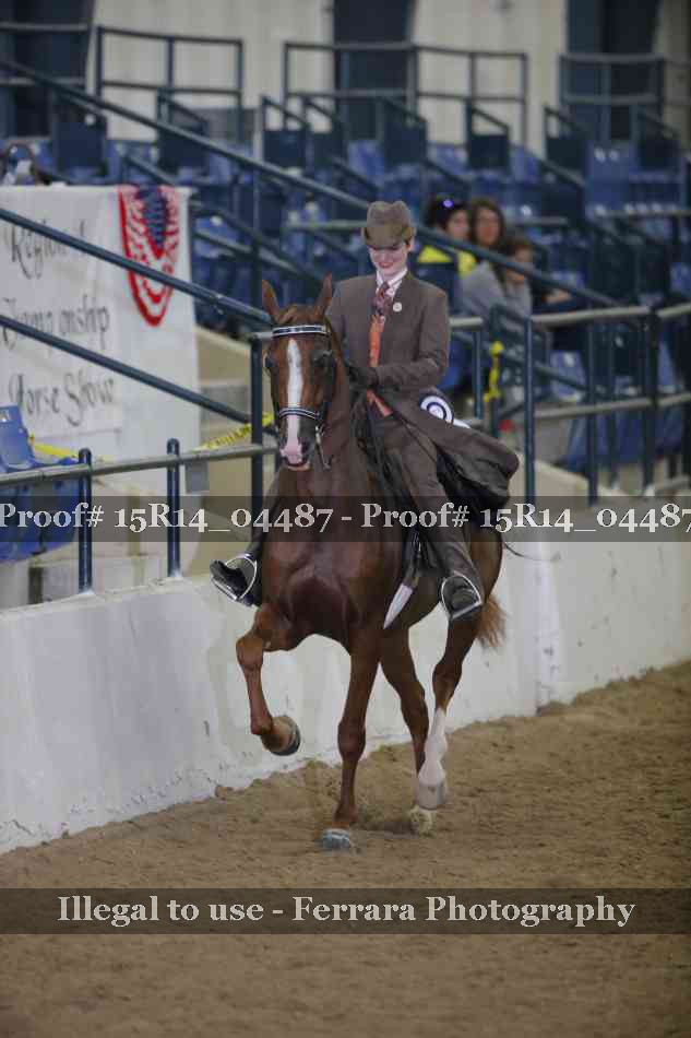 Proof 15R14_04487