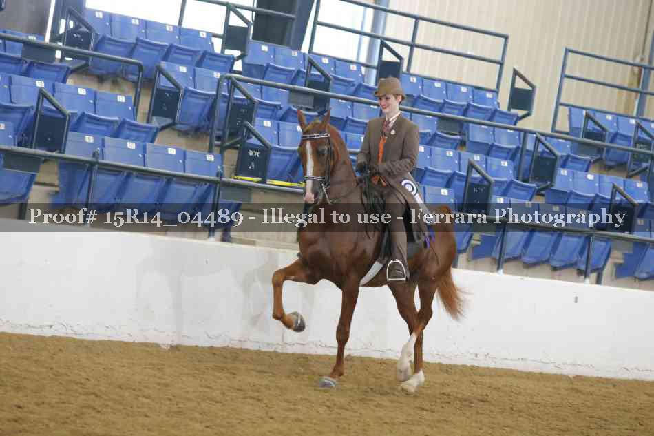 Proof 15R14_04489