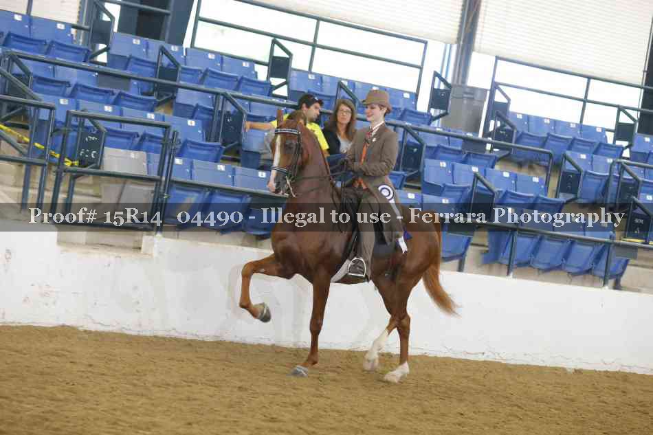 Proof 15R14_04490