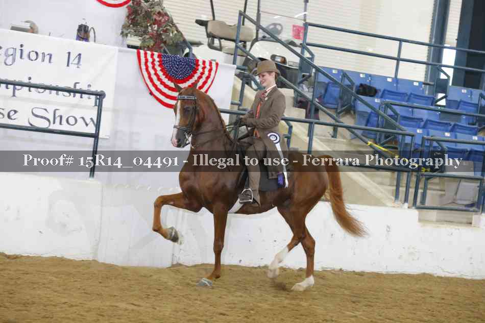 Proof 15R14_04491
