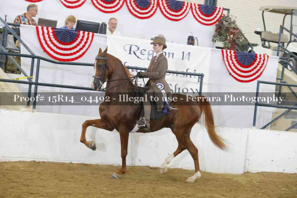 Proof 15R14_04492