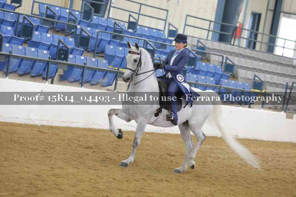 Proof 15R14_04493