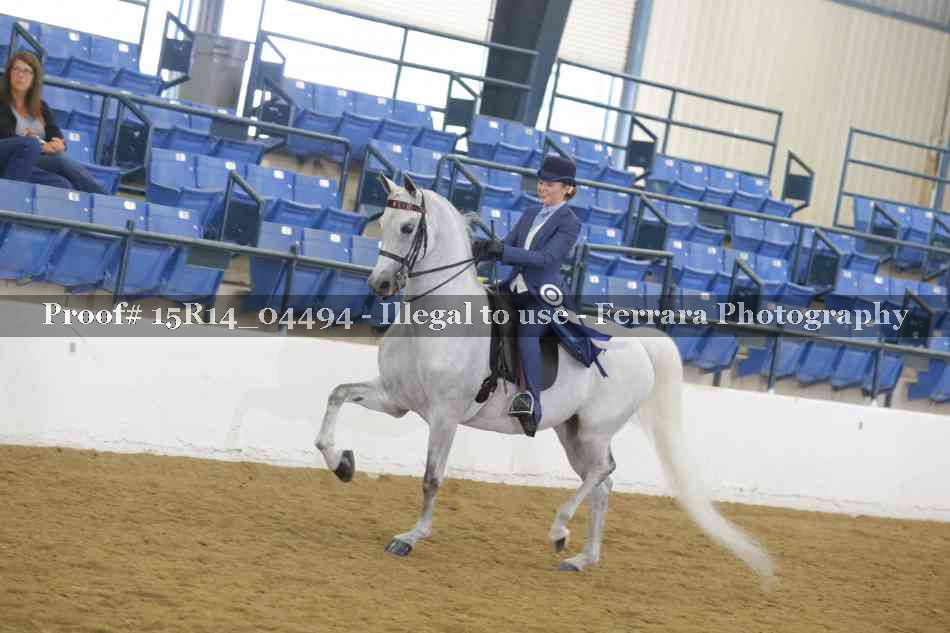 Proof 15R14_04494