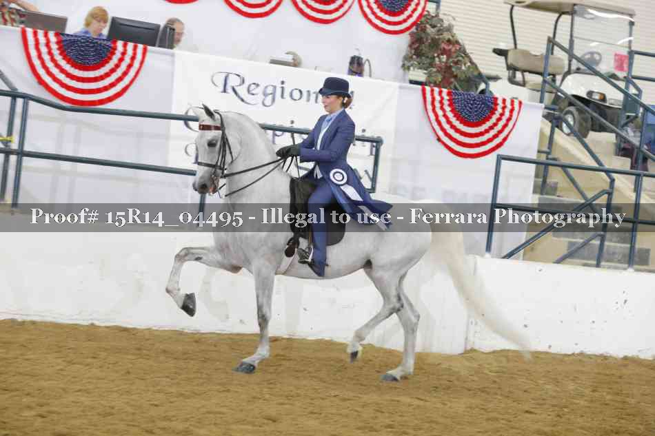 Proof 15R14_04495