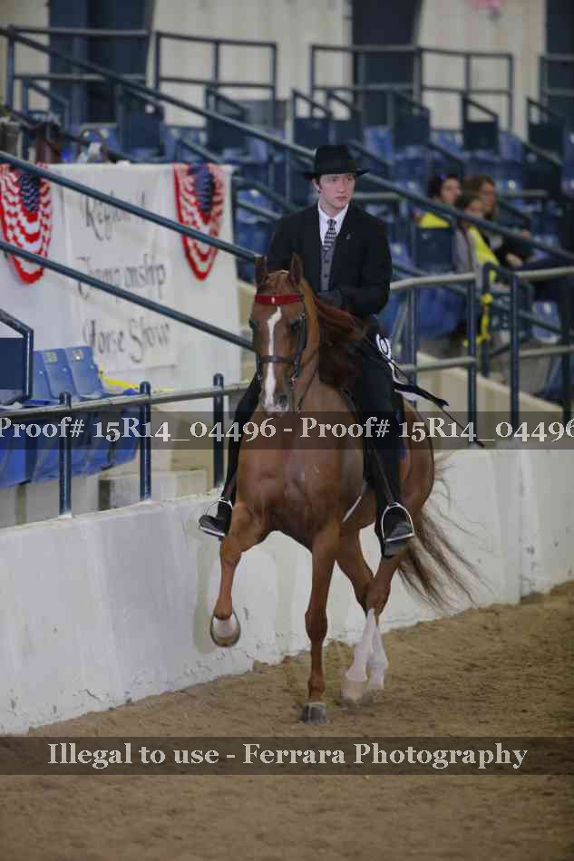 Proof 15R14_04496