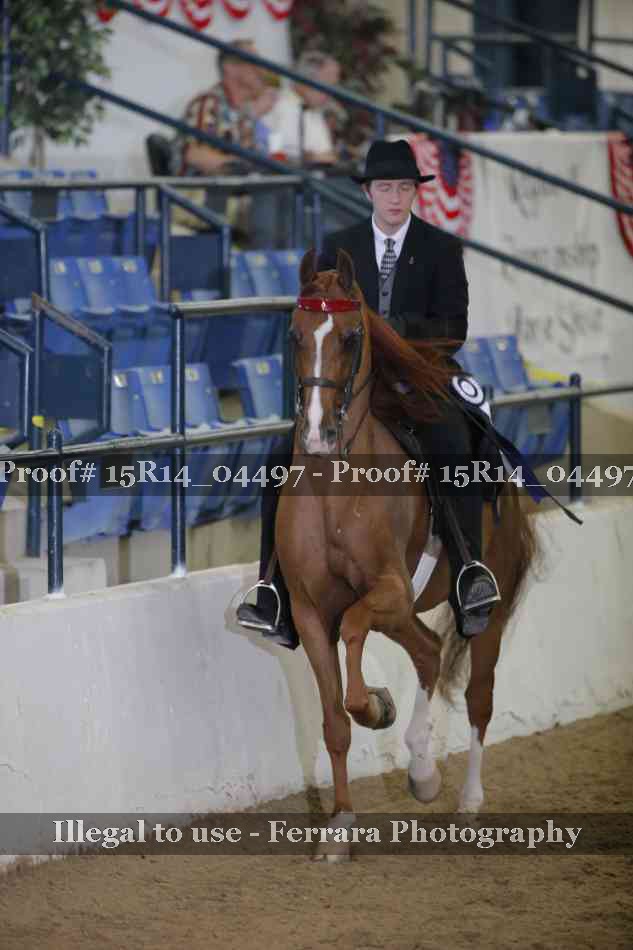 Proof 15R14_04497