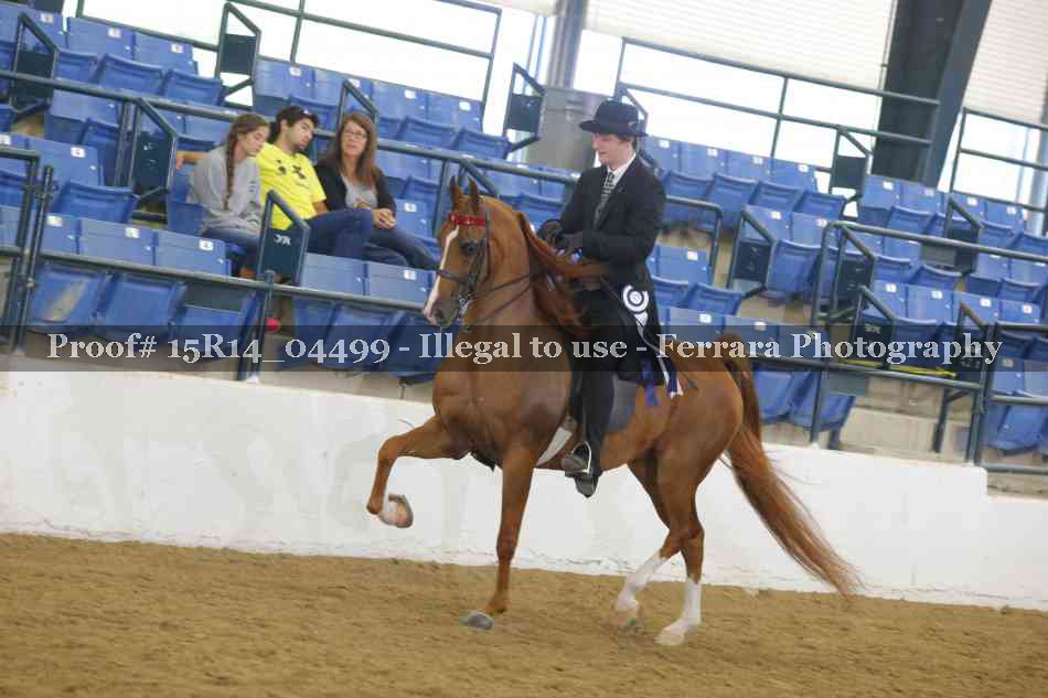 Proof 15R14_04499
