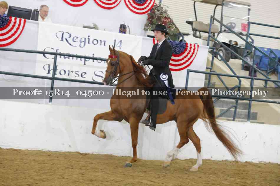 Proof 15R14_04500