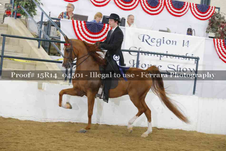 Proof 15R14_04501