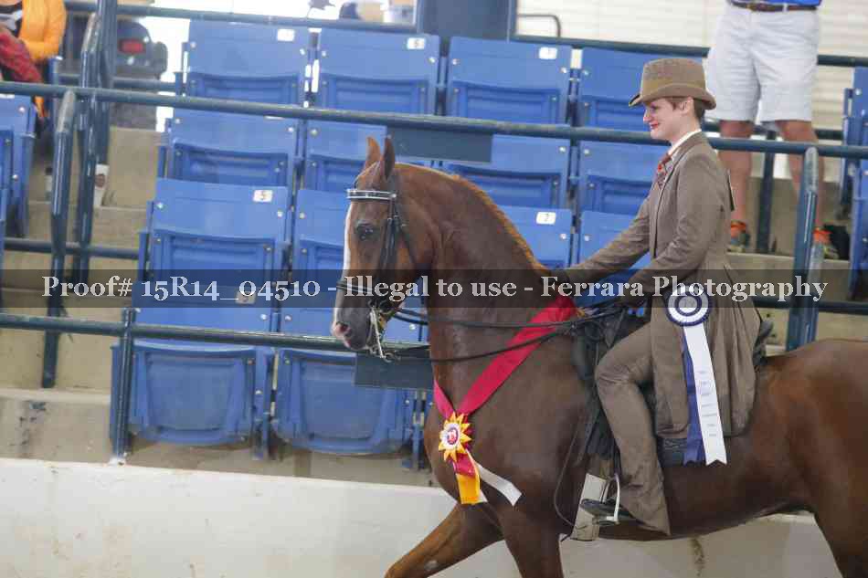 Proof 15R14_04510