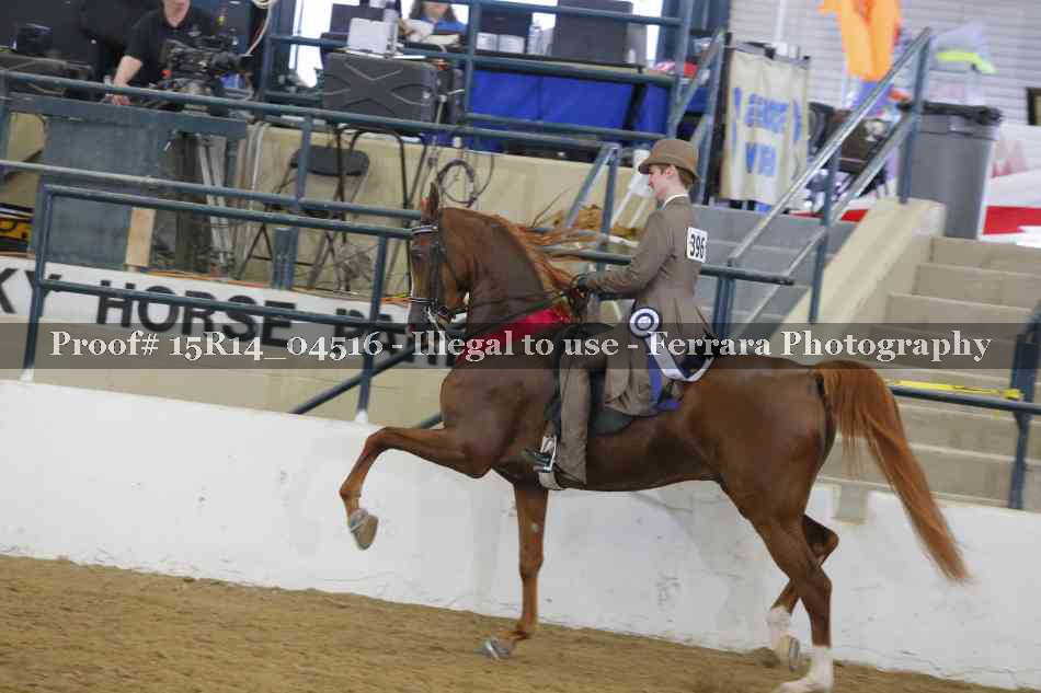 Proof 15R14_04516