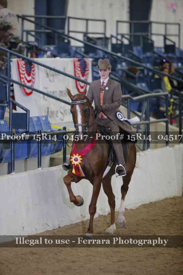 Proof 15R14_04517