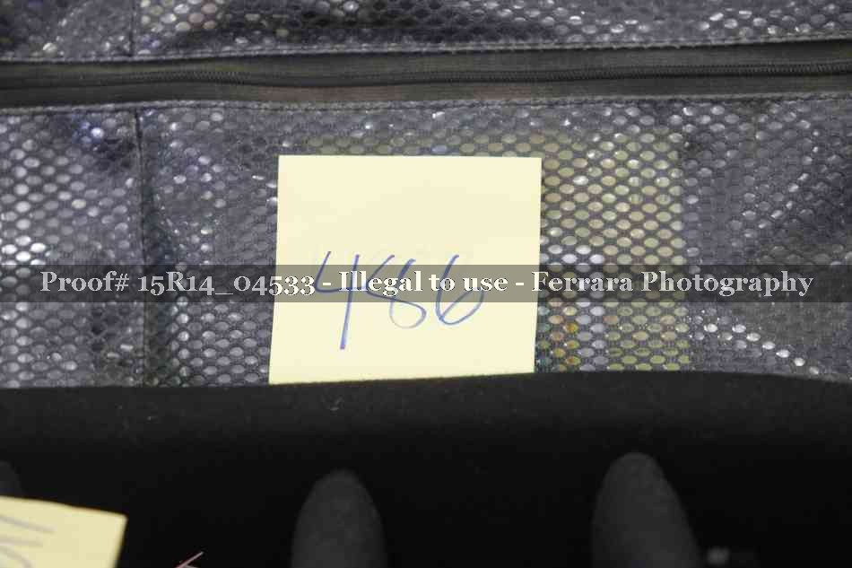 Proof 15R14_04533