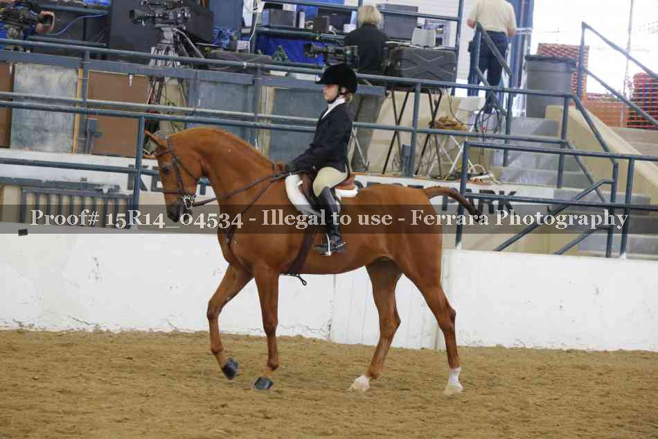Proof 15R14_04534