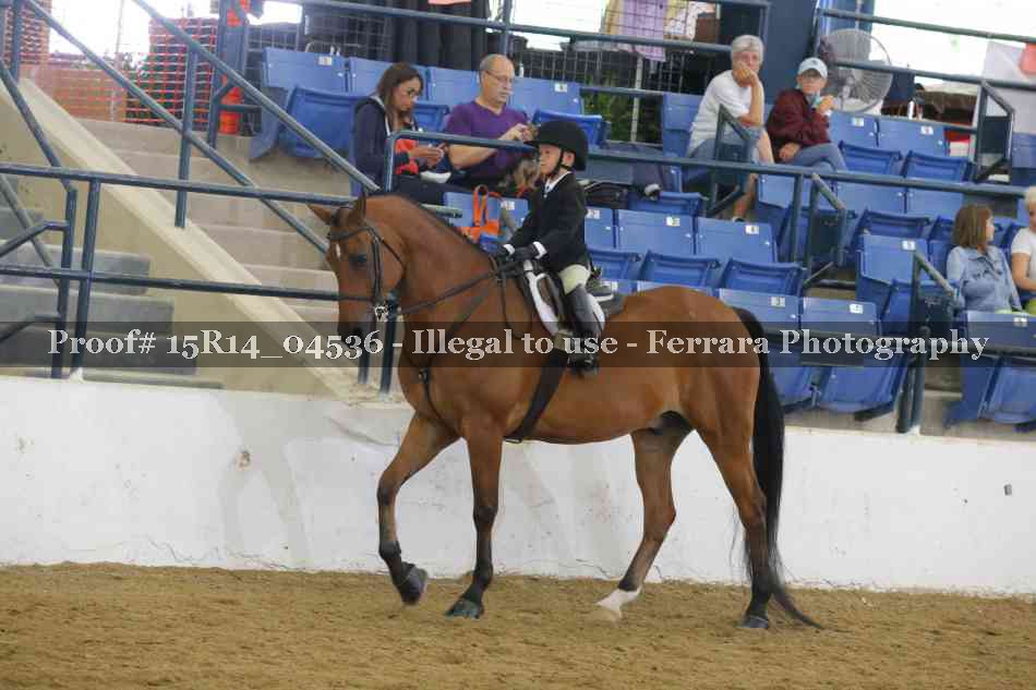 Proof 15R14_04536