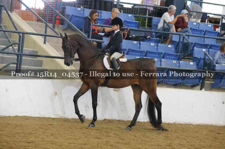 Proof 15R14_04537