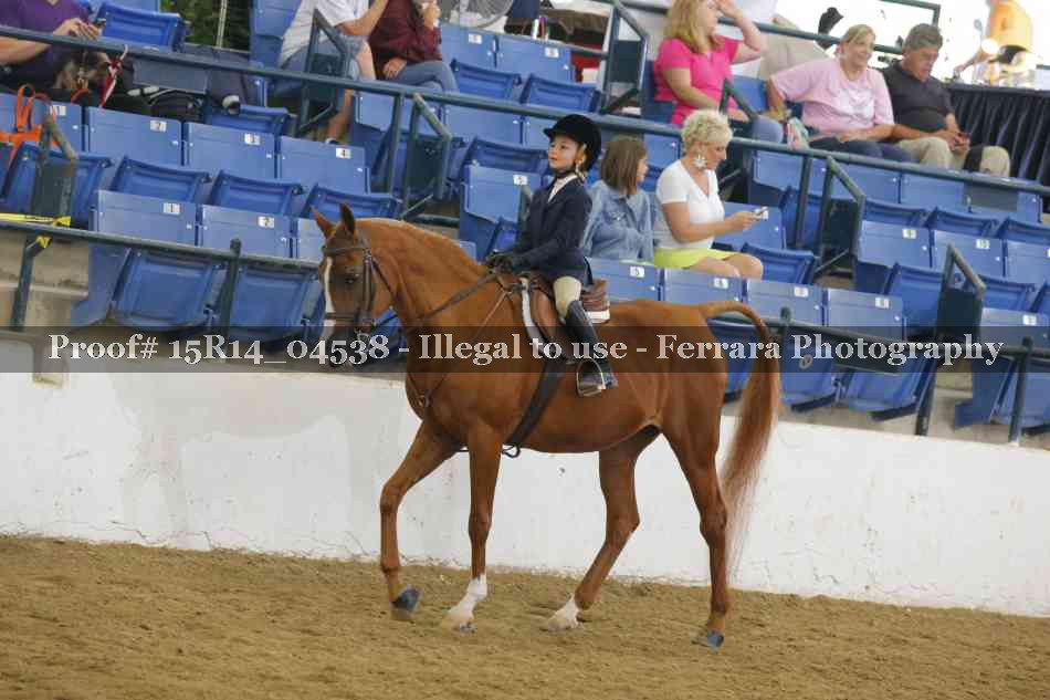 Proof 15R14_04538