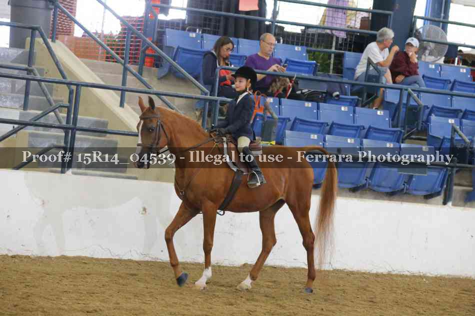 Proof 15R14_04539