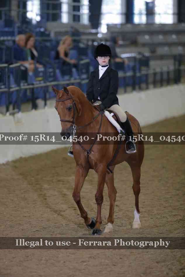 Proof 15R14_04540
