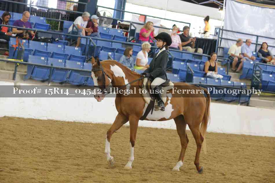 Proof 15R14_04542