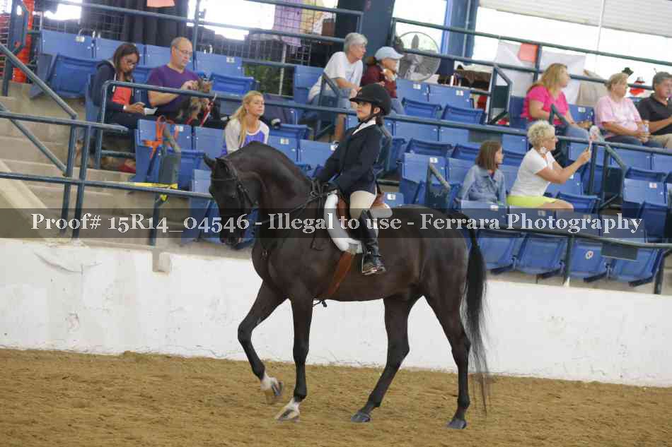 Proof 15R14_04546
