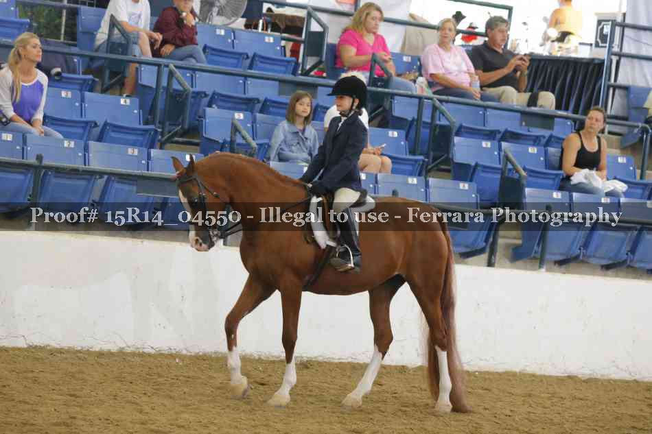 Proof 15R14_04550