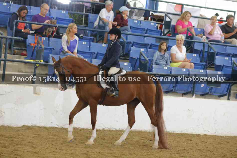 Proof 15R14_04551