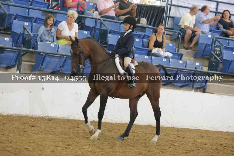 Proof 15R14_04555