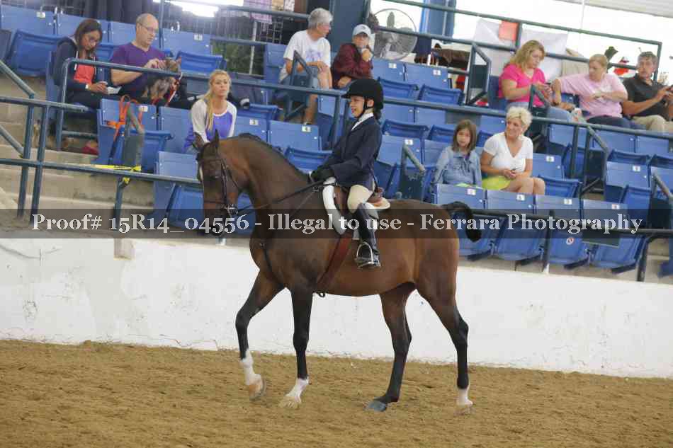 Proof 15R14_04556