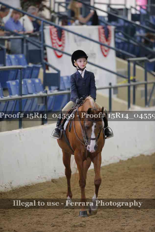 Proof 15R14_04559