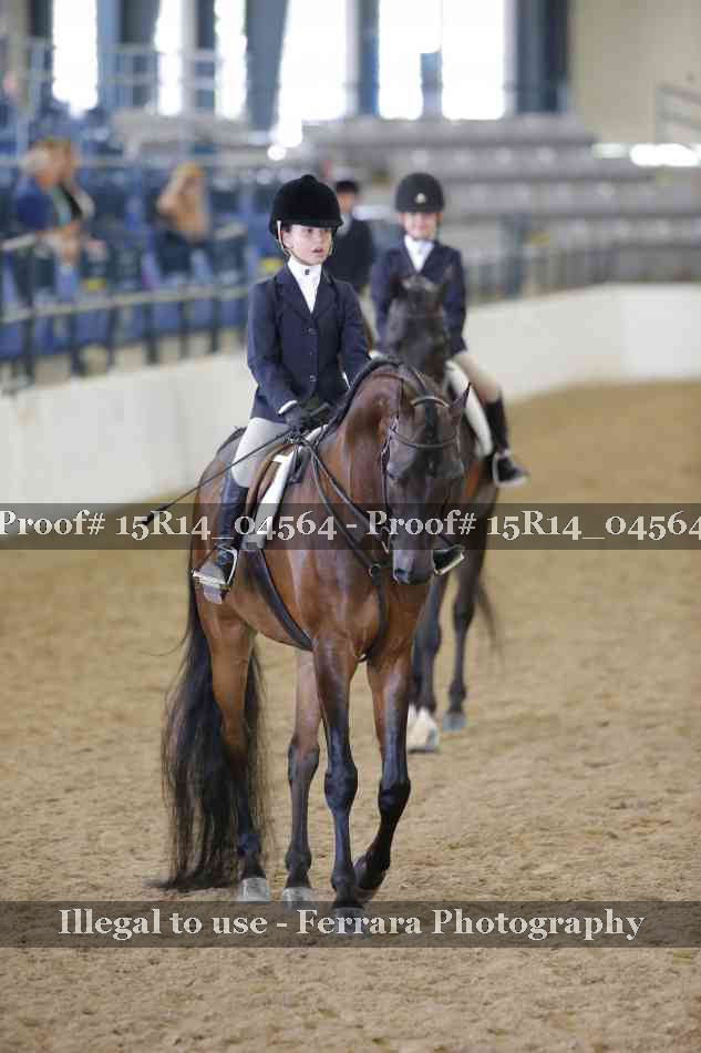 Proof 15R14_04564