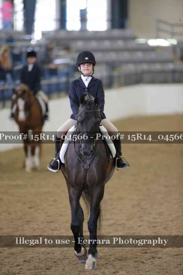 Proof 15R14_04566