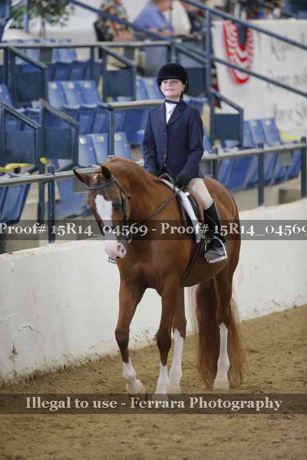 Proof 15R14_04569