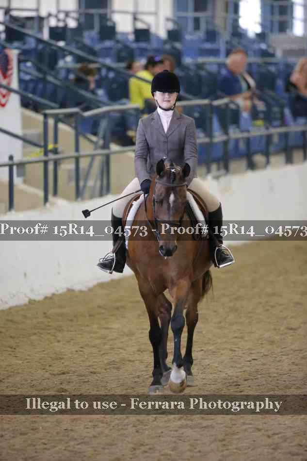 Proof 15R14_04573