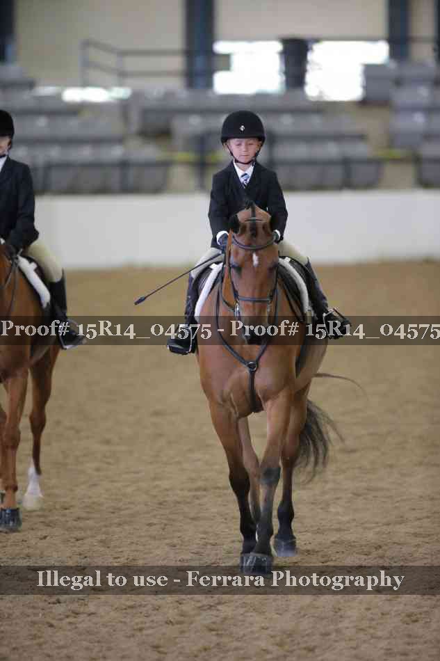 Proof 15R14_04575