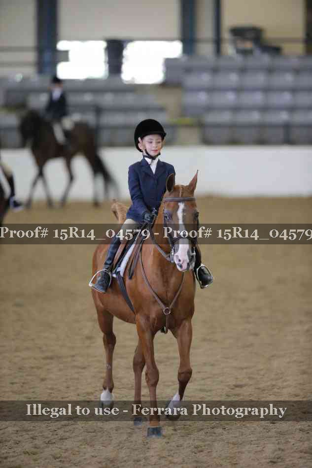 Proof 15R14_04579
