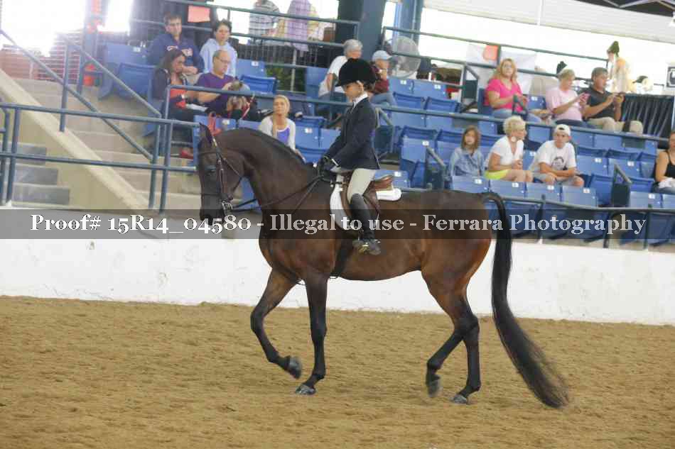 Proof 15R14_04580