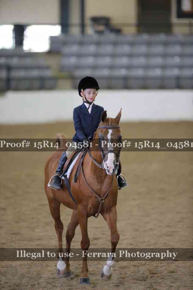 Proof 15R14_04581