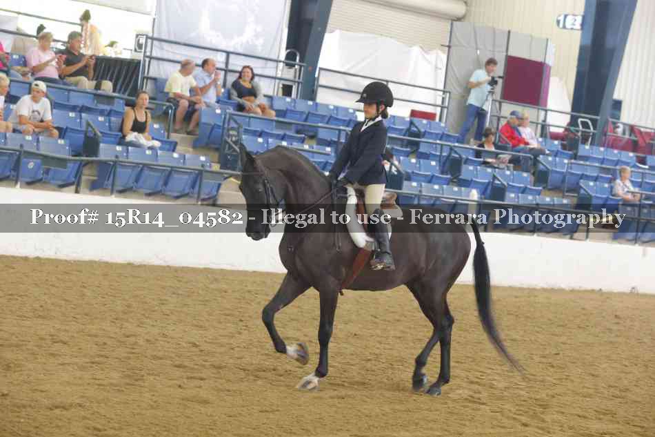 Proof 15R14_04582