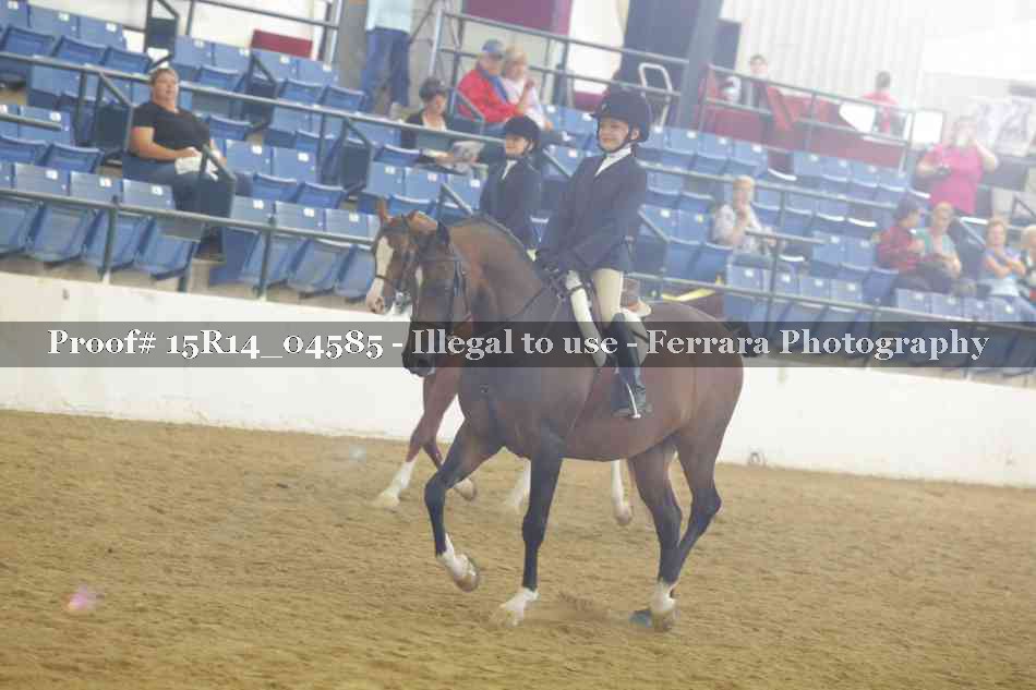 Proof 15R14_04585