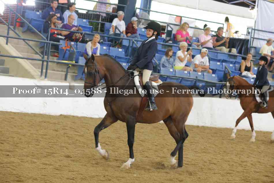 Proof 15R14_04588
