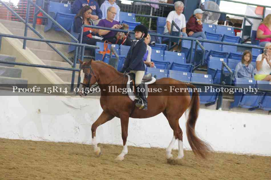 Proof 15R14_04590