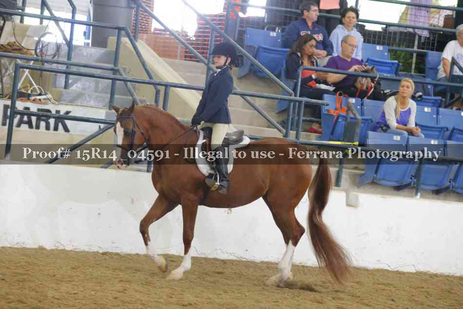 Proof 15R14_04591