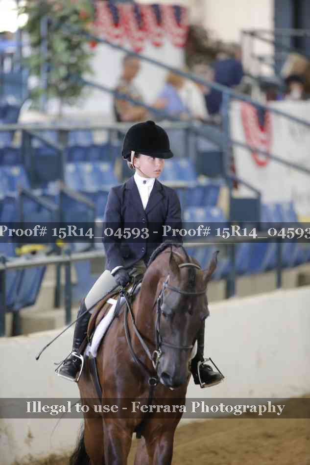 Proof 15R14_04593