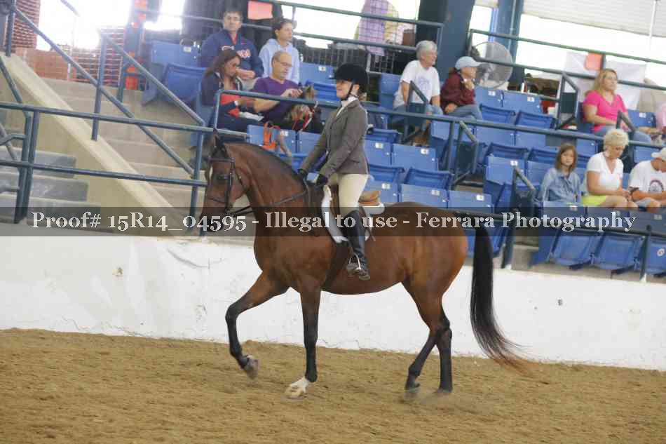 Proof 15R14_04595