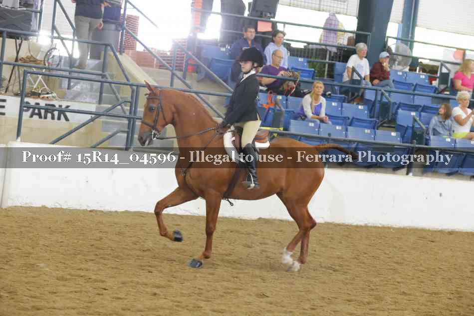 Proof 15R14_04596