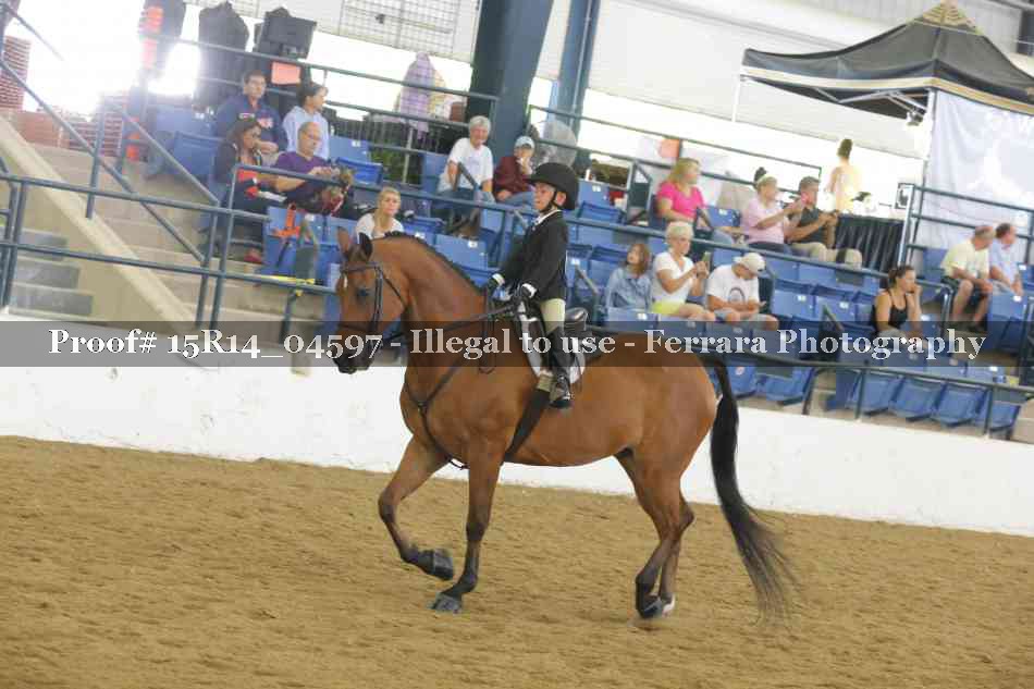 Proof 15R14_04597